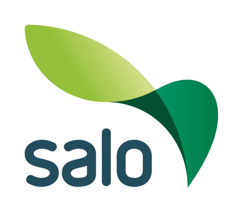 Salon kaupunki logo